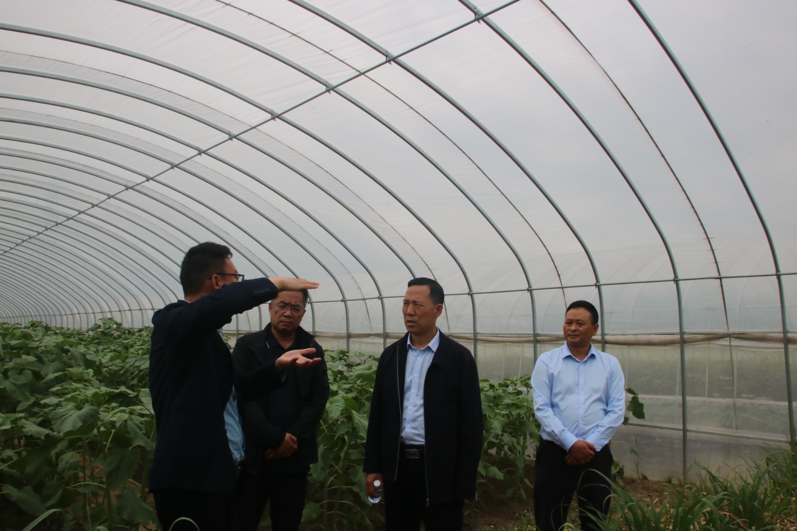 1683786646559757.jpg 1683786646559757.jpg